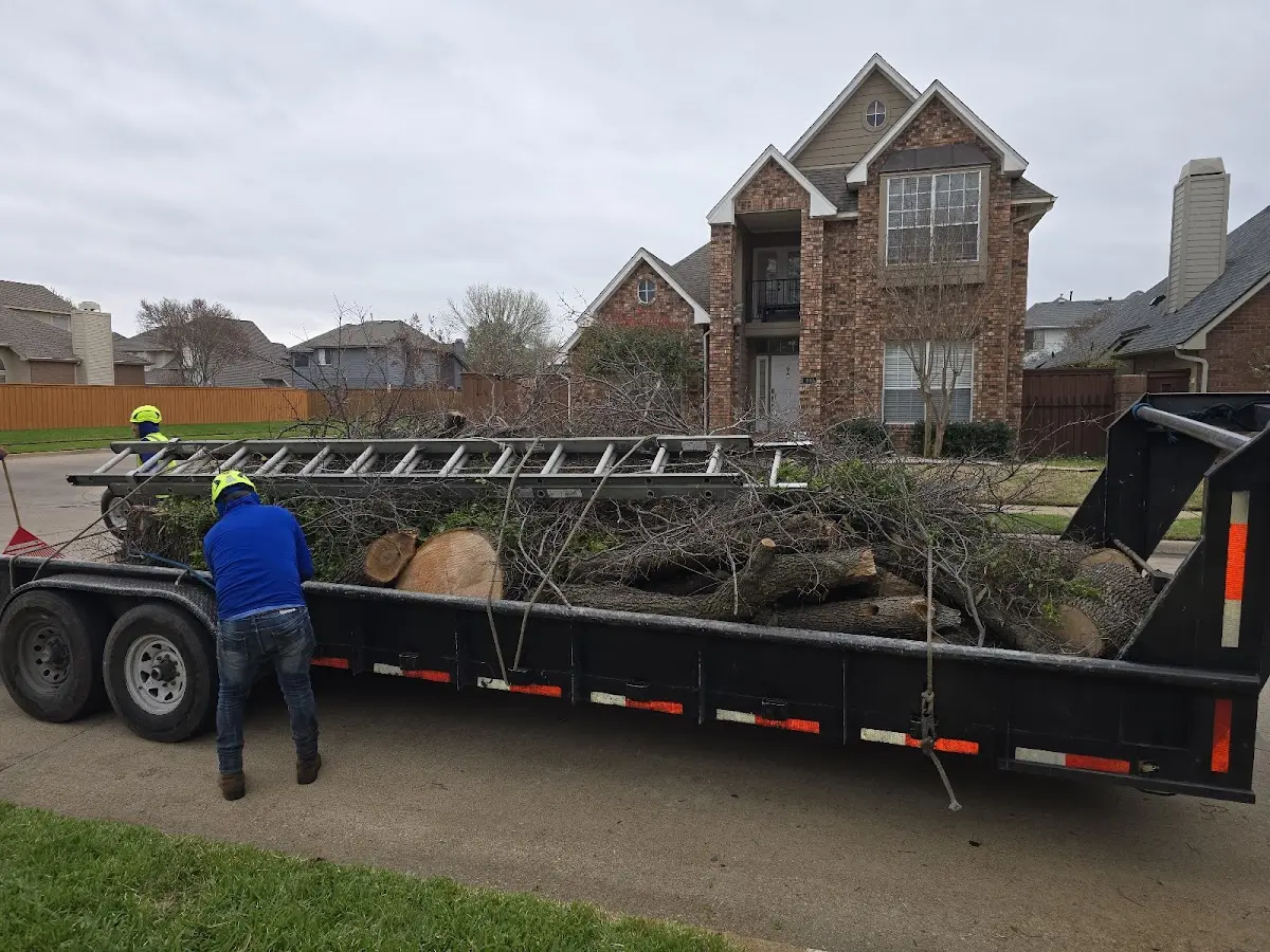 Expert Tree Fertilization with proper safety equipment in Central City